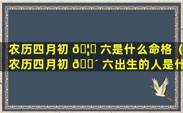 农历四月初 🦟 六是什么命格（农历四月初 🐴 六出生的人是什么性格命好吗）